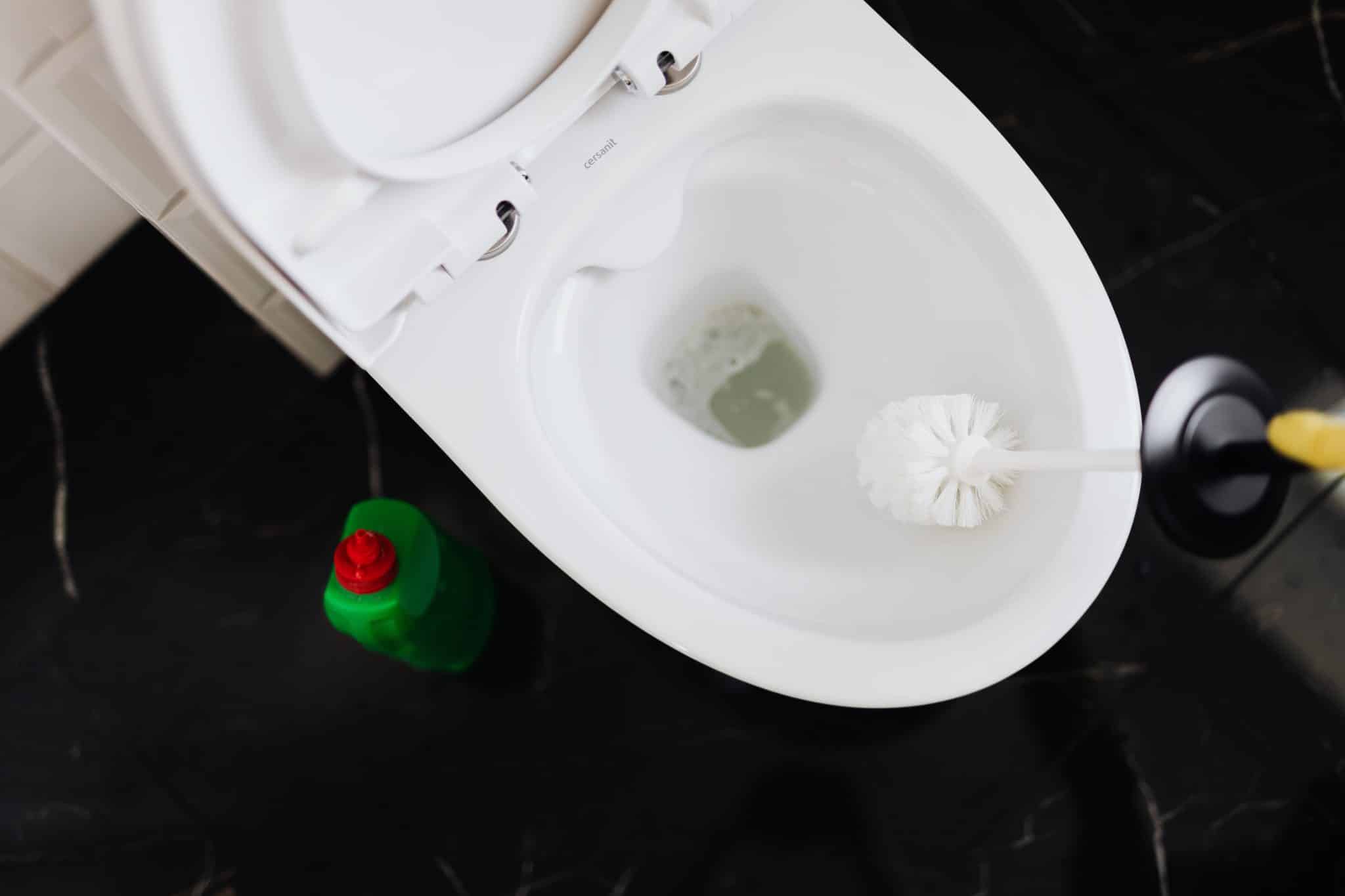 Nos meilleurs conseils pour nettoyer ses toilettes correctement
