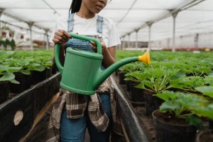 une dame qui arrose des plantes