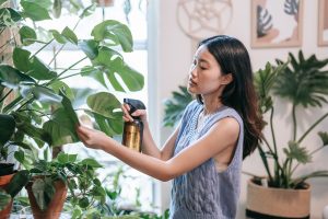 une femme qui arrose ses plantes