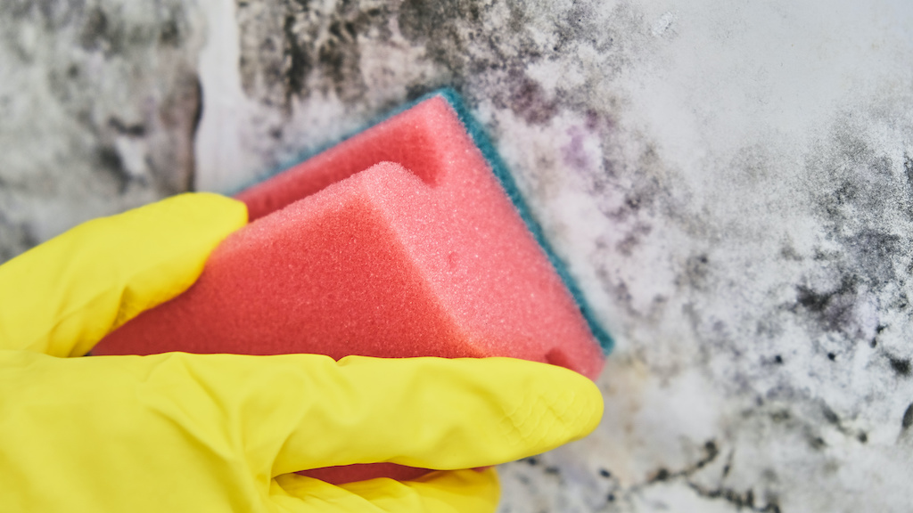 Comment nettoyer et désinfecter un frigo ? 