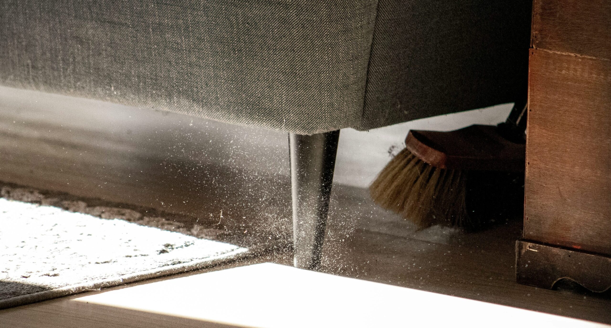 ménage de printemps poussière