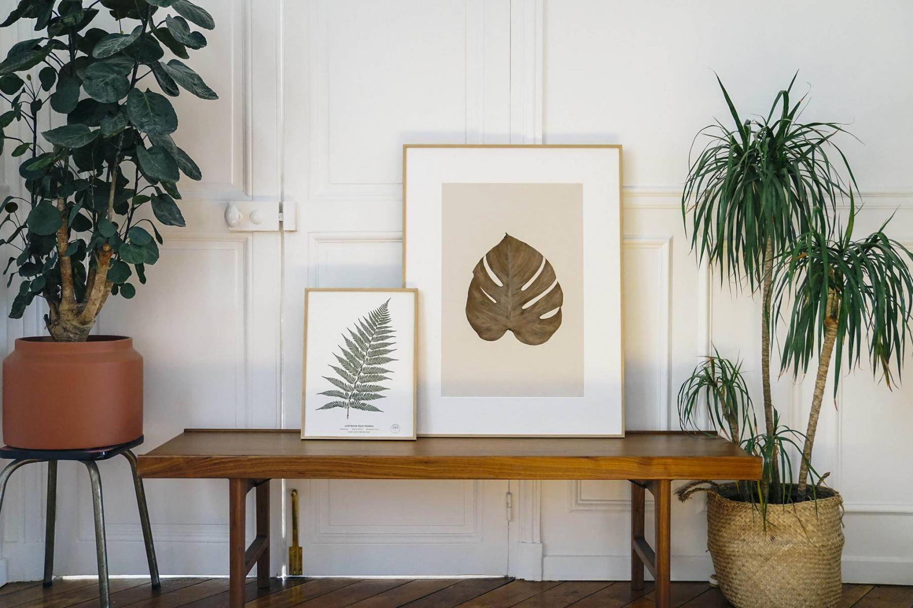 carte-cadeau-herbarium