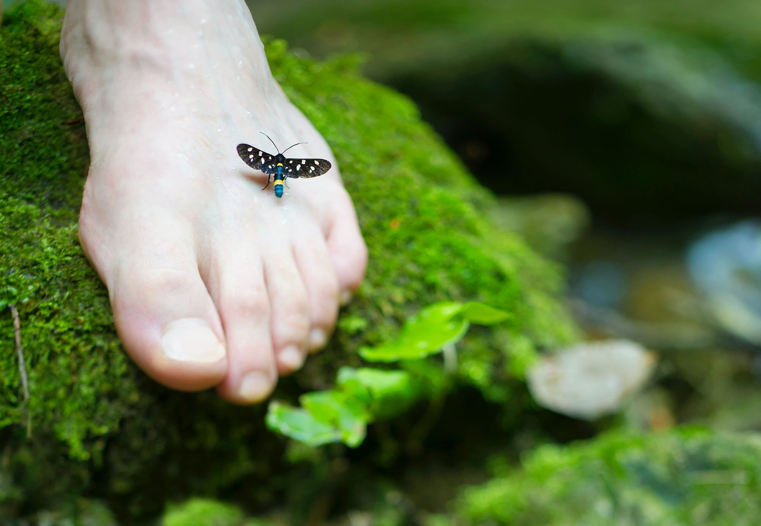 Pieds en bonne santé dans la nature