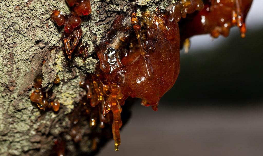 comment enlever de la resine sur un vetement